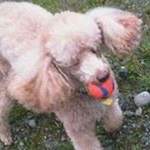 Profile Picture of Phyllis OGrady (@redbaron900) on Instagram