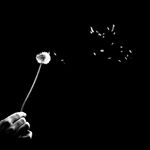 Profile Picture of hossein zolfaghari (@hossein.zolfaghari) on Instagram