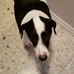 Profile Picture of Lisa Buse (@buse.lisa) on Instagram