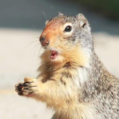 Profile Picture of Keith Conley (@Drac0Linux) on Twitter