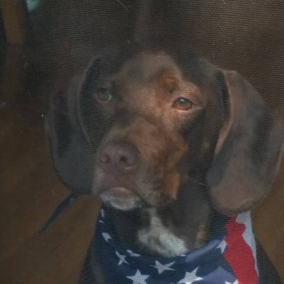 Profile Picture of Steven Keating (@stevenkeating) on Poshmark