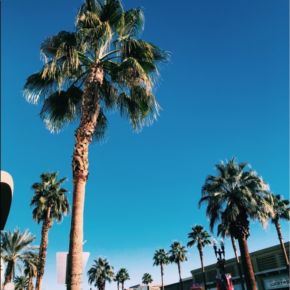 Profile Picture of Alex Goldsmith (@pitbulllove8) on Poshmark