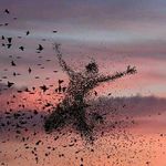 Profile Picture of Jamal Kaid (@gamal.m.k) on Instagram