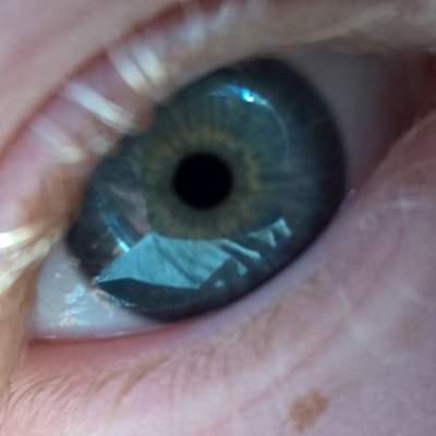 Profile Picture of Ian Bird (@ianbird99) on Twitter