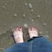 Profile Picture of Amanda Hassenplug (@allgood99) on Pinterest