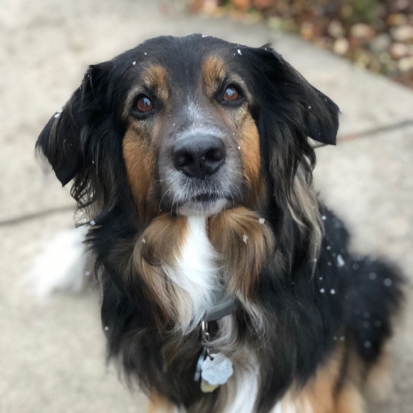 Profile Picture of Cassidy Stehley (@cassidy_stehley) on Poshmark