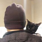 Profile Picture of Sam (@hontoshito) on Instagram