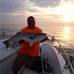 Profile Picture of Joseph Palumbo (@Joseph-Palumbo) on Facebook