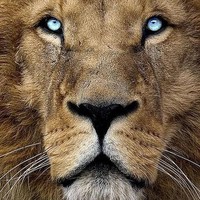 Profile Picture of Alex Kulikov (@alex-kulikov-3) on Quora