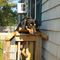 Profile Picture of Jeff Reuter (@jeff.reuter.3975) on Facebook