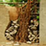 Profile Picture of Andrew Gibbs (@supine88) on Flickr