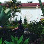 Profile Picture of Jonathan Harry Sihombing (@jonathan_harry_sihombing) on Instagram
