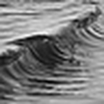 Profile Picture of Greg Watts (@G.Watts) on Flickr