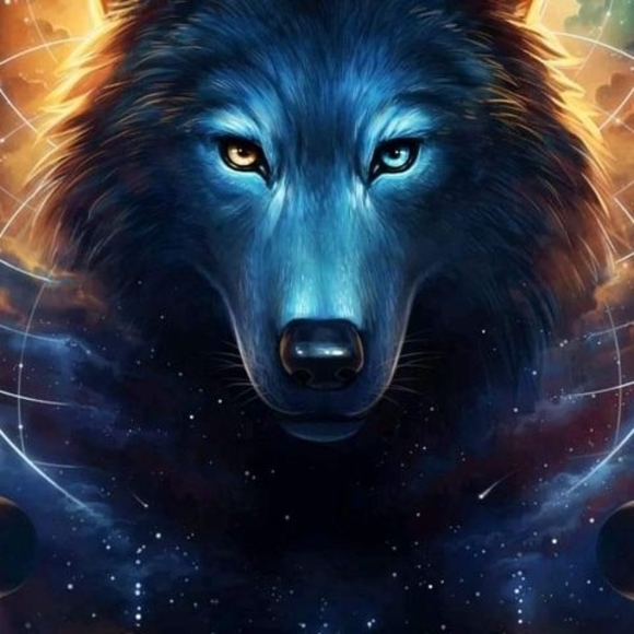 Stanley Lobaugh - Poshmark Profile Picture of Stanley Lobaugh (@lobaughrick) on Poshmark