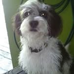 Profile Picture of Ezequiel Olvera (@olvera.ezequiel) on Instagram