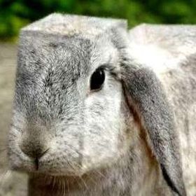 Maciej Benjamin Lerch-Zajaczkowski - Pinterest Profile Picture of Maciej Benjamin Lerch-Zajaczkowski (@lerchzajaczkowski) on Pinterest