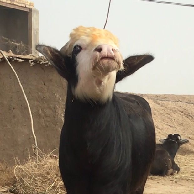 Profile Picture of a_d.72 (@james.rosa8) on Tiktok