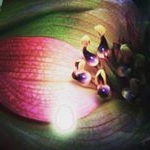 William Doebe - Instagram Profile Picture of William Doebe (@williamdoebe) on Instagram