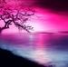 Profile Picture of Pamela Garland (@Pamela-Garland) on Facebook