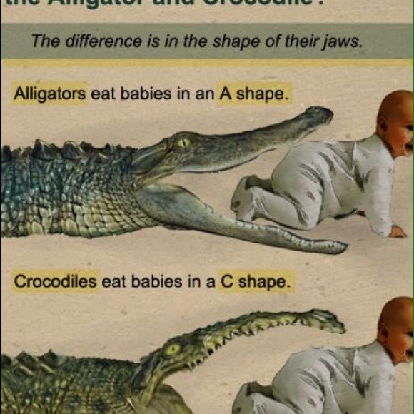 Erna Numanovic - Poshmark Profile Picture of Erna Numanovic (@ernan) on Poshmark