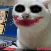 Profile Picture of Daniel Madison (@daniel-madison) on Quora