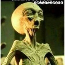 Profile Picture of Mitchell Ott (@mitchgott3) on Twitter