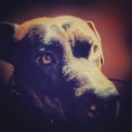 Profile Picture of Kevin laprade (@kevin.laprade) on Instagram