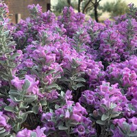 Profile Picture of Luke Alex (@luke-alex-10) on Quora