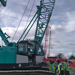 Profile Picture of Robert Garol (@robertgarol) on Tiktok