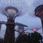 Profile Picture of Catherine Lapid (@catherinelapid) on Instagram