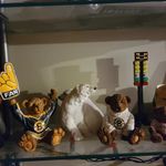 Profile Picture of #%$÷ joke (@joemeyer710) on Instagram