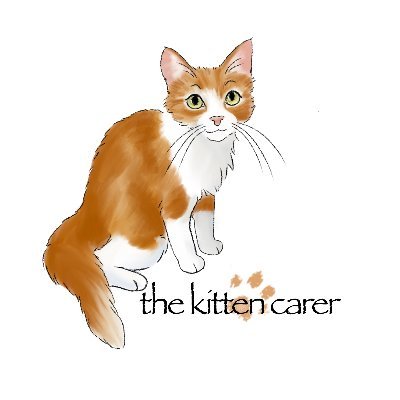 Profile Picture of The Kitten Careron Twitter