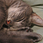 Profile Picture of Cody Foster (@kefka256) on Flickr