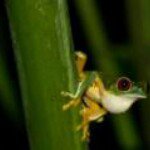 Profile Picture of Jon Nichols (@jon5cents) on Instagram