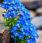 Profile Picture of Ruma Begum (@ruma.begum.369978) on Facebook