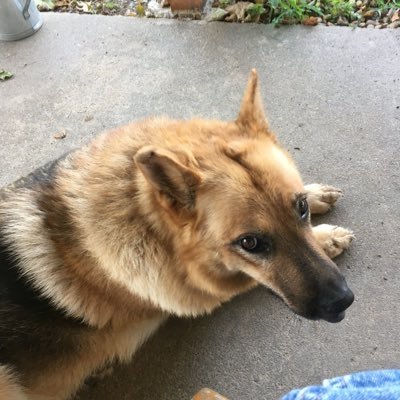 Profile Picture of David Mckeehan (@MckeehanDavid) on Twitter