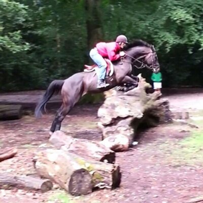 Profile Picture of Adam Christer-king (@jockey1972) on Twitter