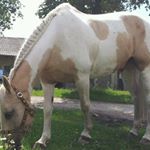 Profile Picture of Maria Steinberg (@msteinberg12390) on Instagram