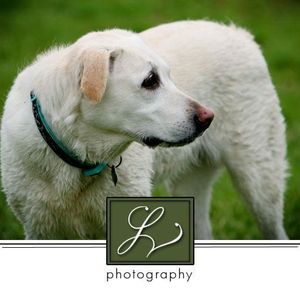 Profile Picture of Jacob Verbeck (@jacobverbeck) on Myspace