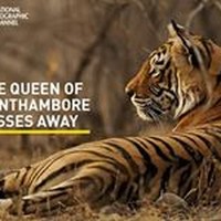 Profile Picture of Venkata Rao (@venkata-rao-201) on Quora