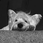 Profile Picture of Julia bramble (@julia_bramble) on Instagram