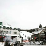 Profile Picture of Adam Orchard (@adam_orchard) on Instagram