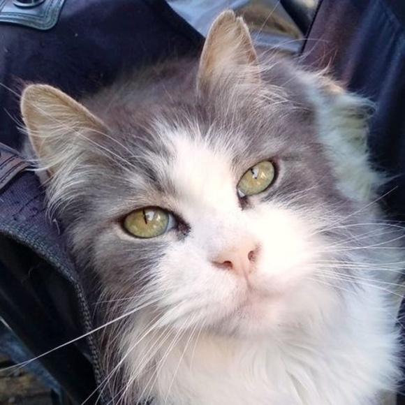 Profile Picture of Charlene Mcgilligan (@cmcgilligan) on Poshmark