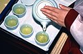 Profile Picture of Korean teaon Wikipedia