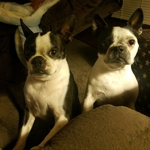 Profile Picture of Kelly Lear (@kelly52780) on Poshmark