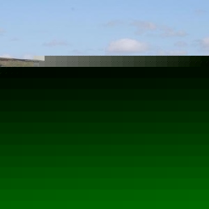 Profile Picture of Erin Chappell (@echappellpictures) on Myspace