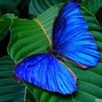 Profile Picture of Jim Legg (@jim-legg) on Quora