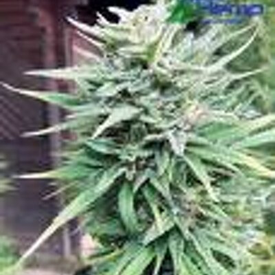 Profile Picture of Jay Uttley (@jay09nwot) on Twitter