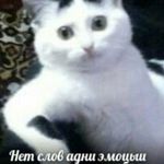 Profile Picture of Максим Рябицкий (@maksimrybitskiy) on Instagram