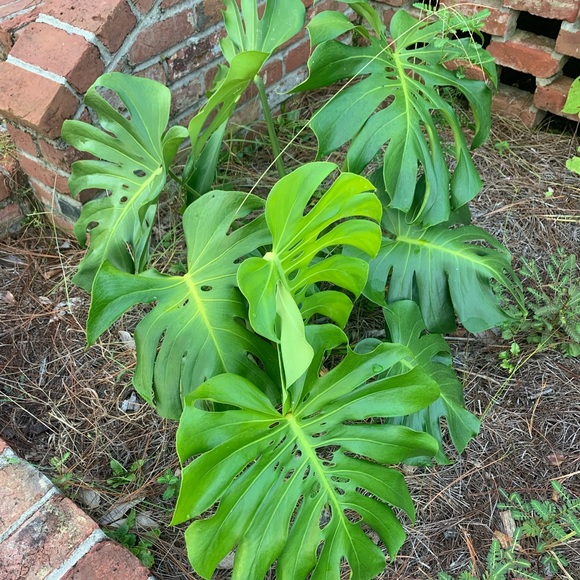 Profile Picture of Kristina Haglen (@khaglen) on Poshmark